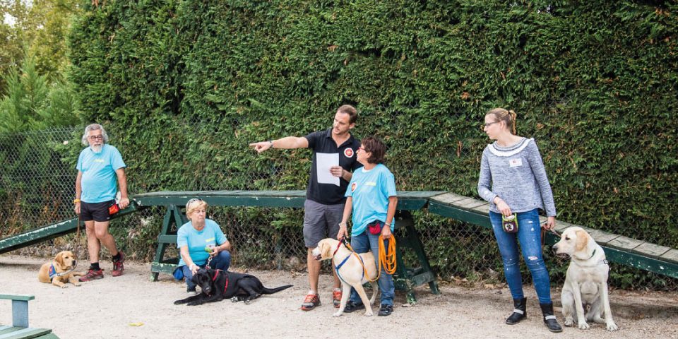 City Pattes: le blog urbain des amis des 4 pattes chiens City Pattes: le blog urbain des amis des 4 pattes chiens