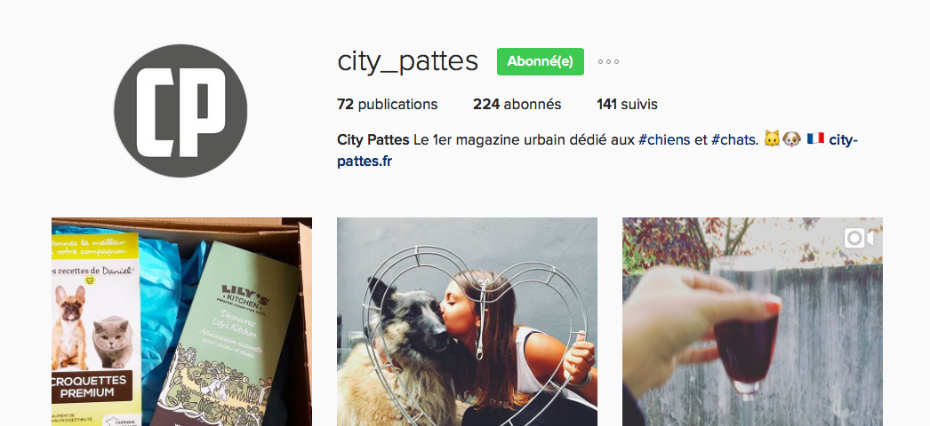compte-instagram-city-pattes