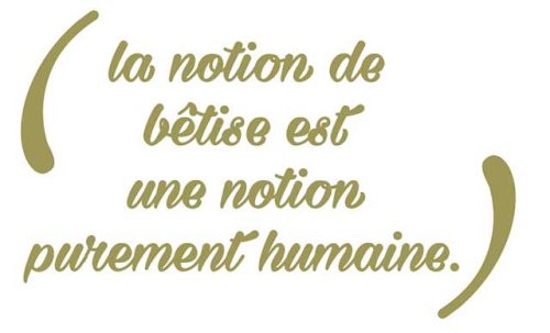 notion-betise-chien