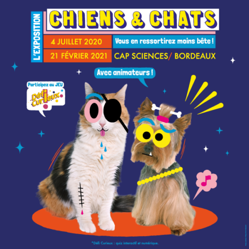 expo-chats-chiens-cap-sciences-city-pattes