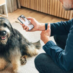 un homme au bureau avec son chien pet at work