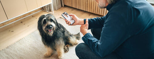 un homme au bureau avec son chien pet at work