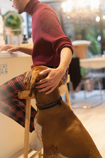 homme assis à son bureau qui caresse son chien