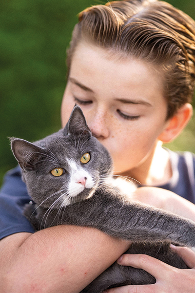 Un enfant câline sont chat gris et blanc city pattes comportement chie chat 