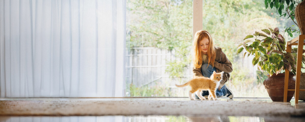 risques et dangers des piscines pour les animaux