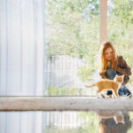 risques et dangers des piscines pour les animaux