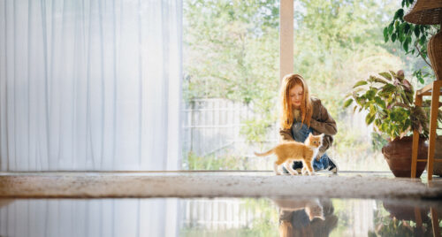 risques et dangers des piscines pour les animaux