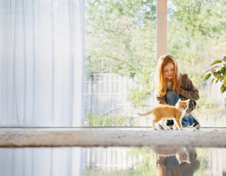 risques et dangers des piscines pour les animaux