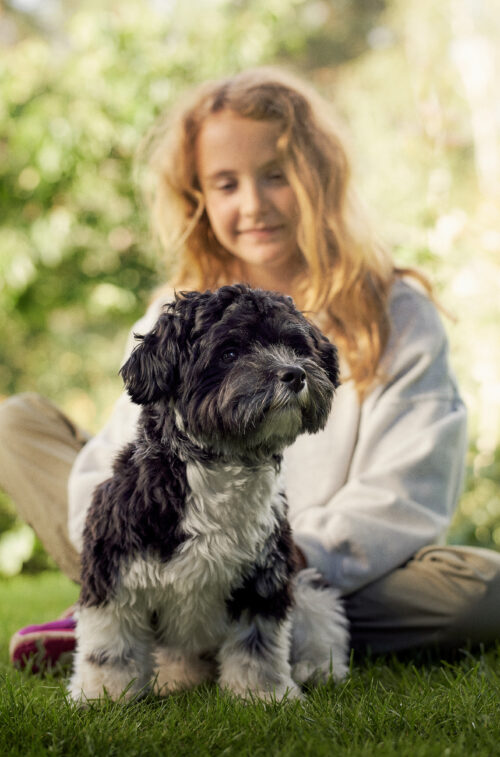 Complicité chien et enfant