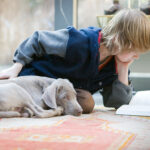 Complicité chien enfant