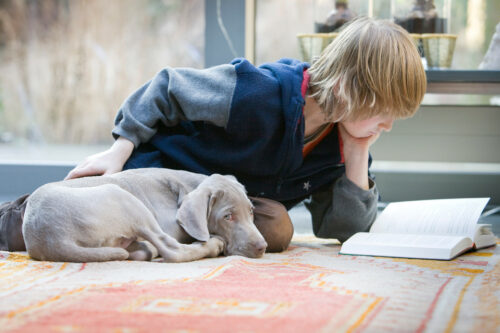Complicité chien enfant
