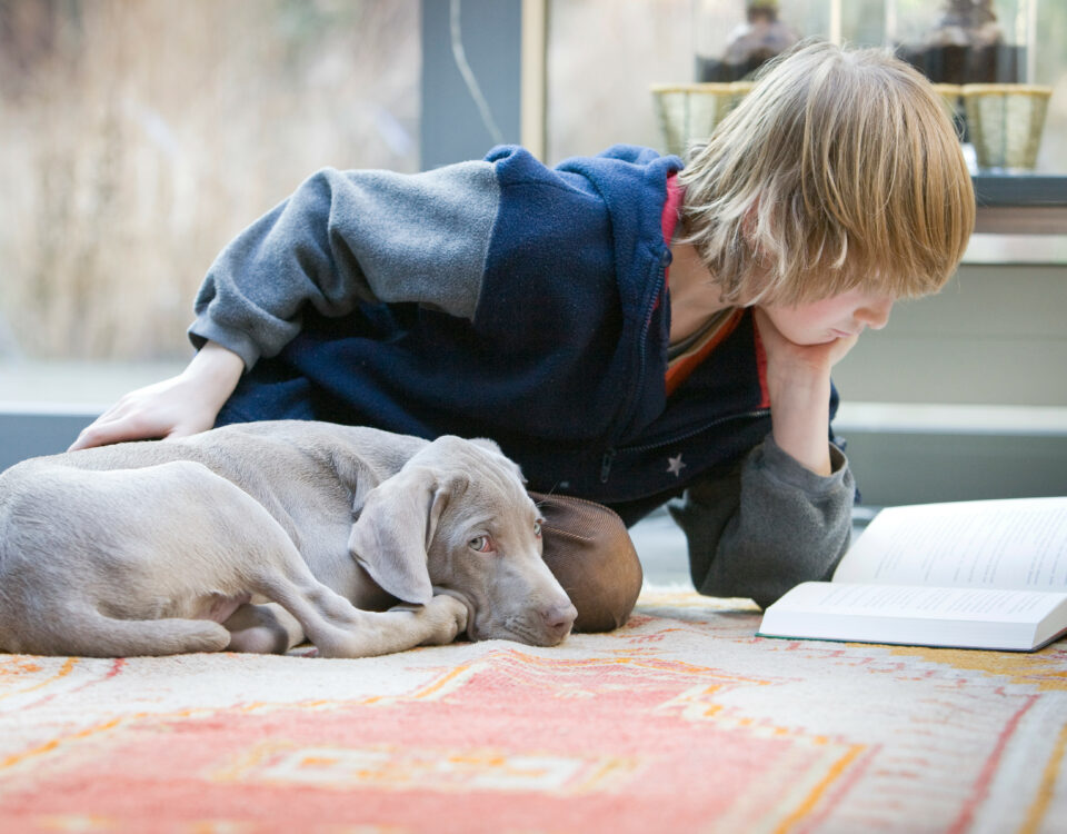 Complicité chien enfant