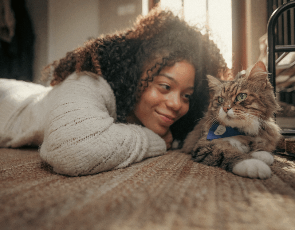 balade des chats Agria