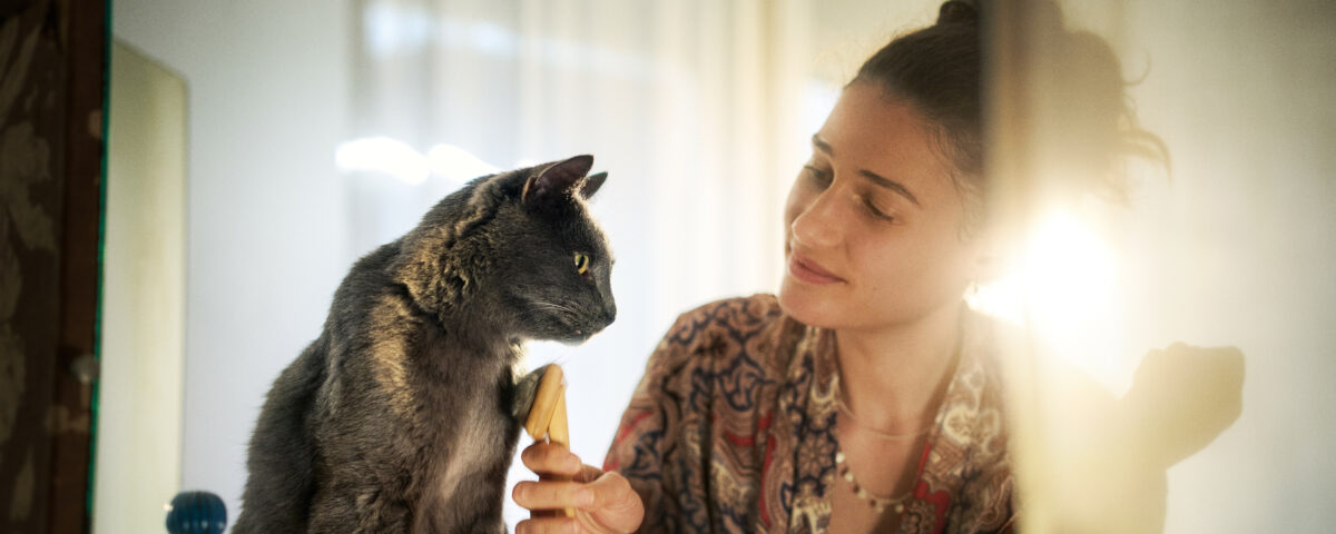 Léchage compulsif du chat