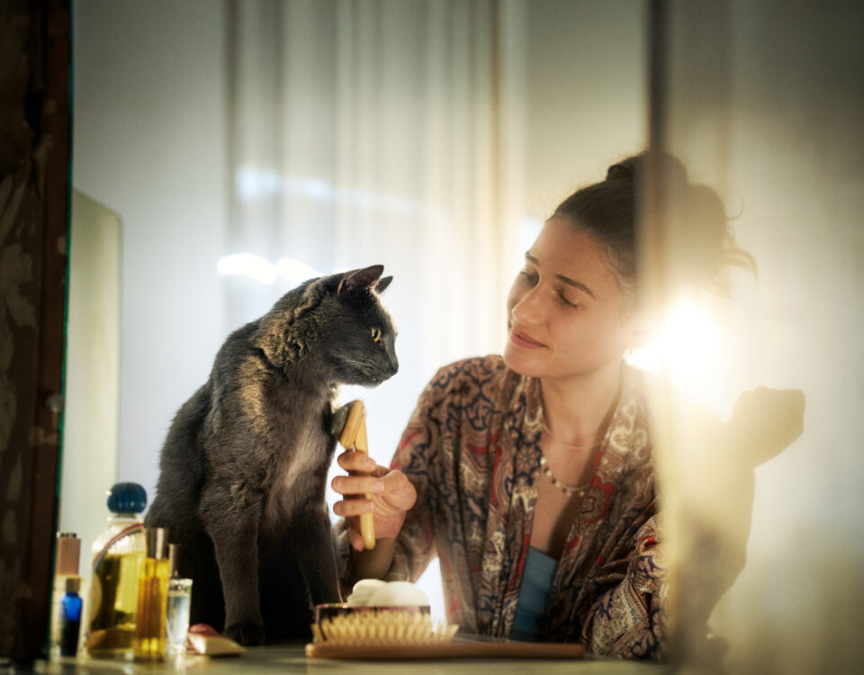 Léchage compulsif du chat