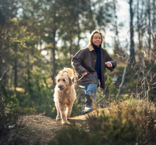 Stress animal : l'hiver met-il nos chiens et nos chats à l'épreuve ?