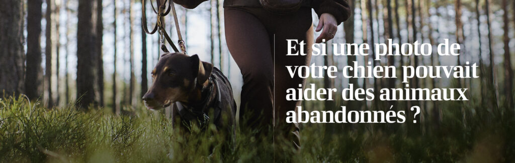 chien promenade nature balade des chiens agria spa