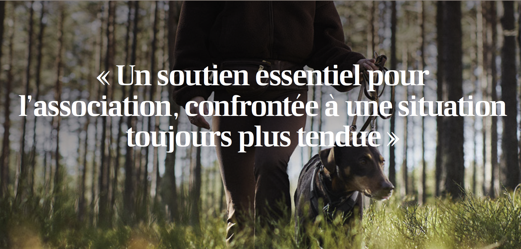 photo chien réseaux sociaux don spa agria dog walk