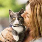 bien-être animal suède chat réglementation animaux compagnie