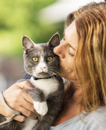 bien-être animal suède chat réglementation animaux compagnie