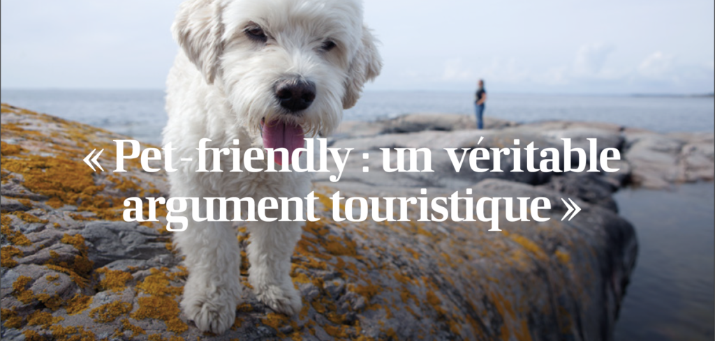 chien vacances tourisme pet friendly europe