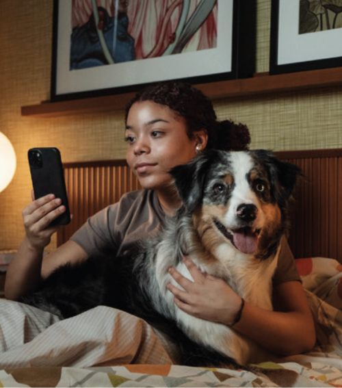 voyage avec chien tourisme pet friendly europe