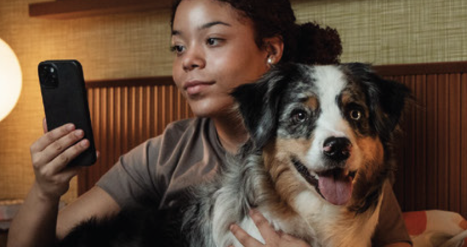 voyage avec chien tourisme pet friendly europe