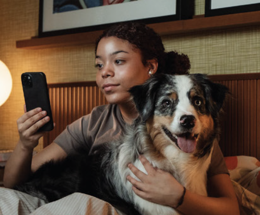 voyage avec chien tourisme pet friendly europe