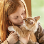 propriétaire tenant son chat identification et sécurité animale