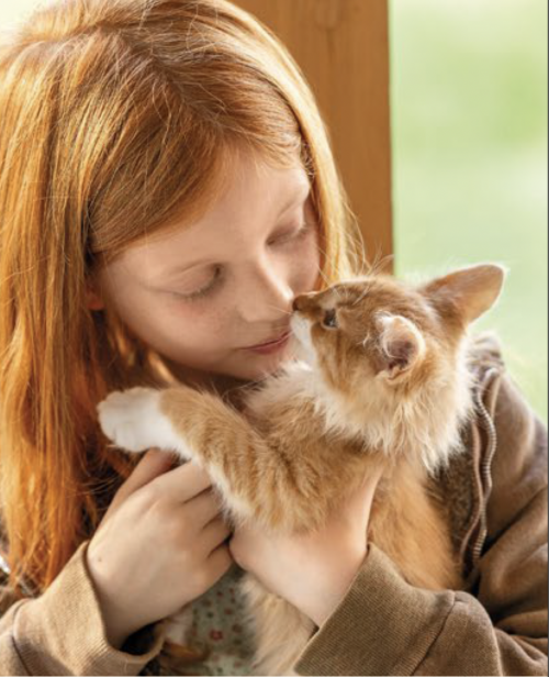 propriétaire tenant son chat identification et sécurité animale