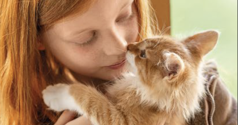 propriétaire tenant son chat identification et sécurité animale