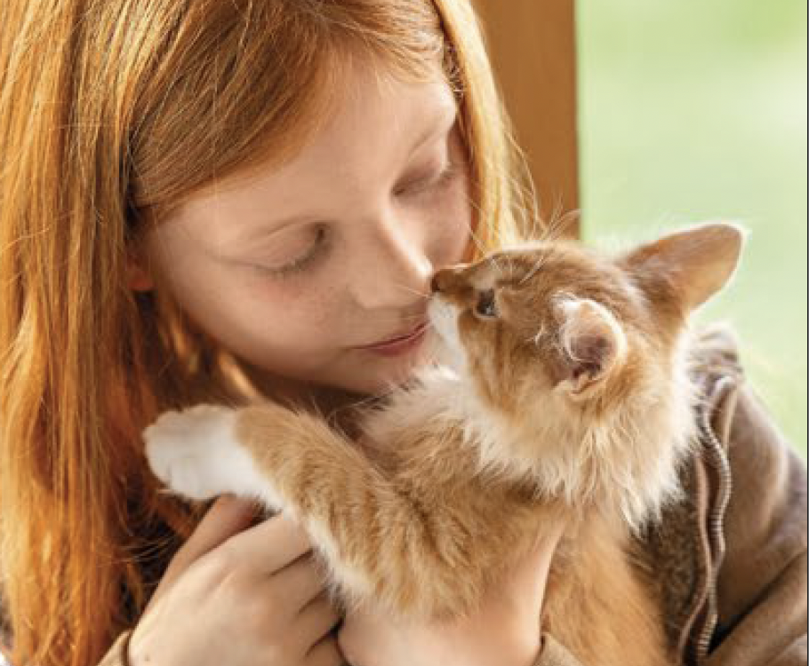propriétaire tenant son chat identification et sécurité animale