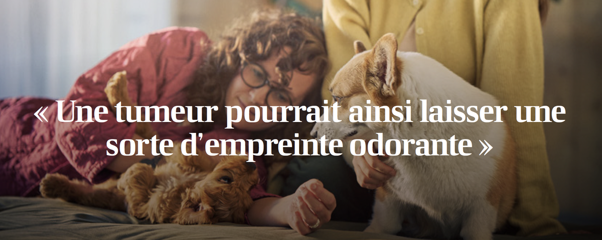 Chien auprès d'une femme dans le cadre d'Octobre Rose et des recherches sur la détection du cancer