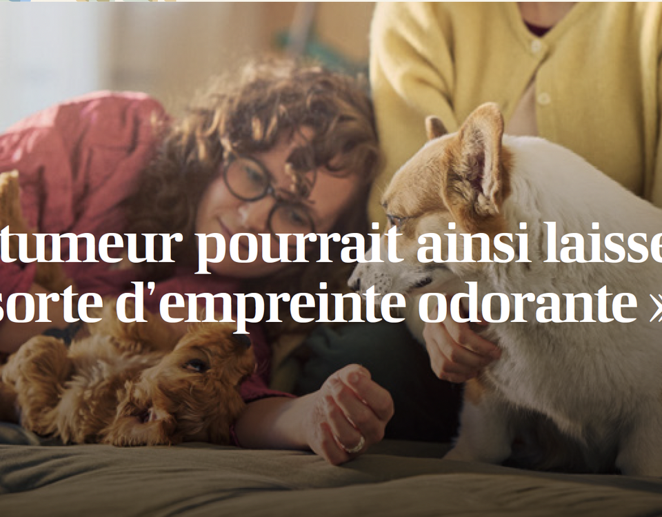 Chien auprès d'une femme dans le cadre d'Octobre Rose et des recherches sur la détection du cancer